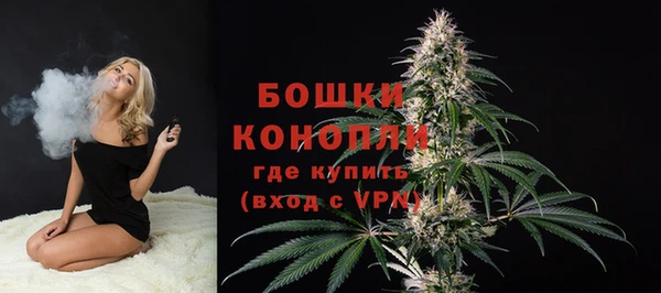 амф Няндома