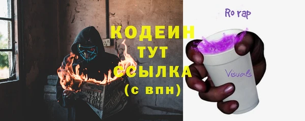 гашик Богородск