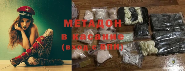 индика Богданович